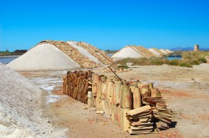 Torre Nubia e le saline