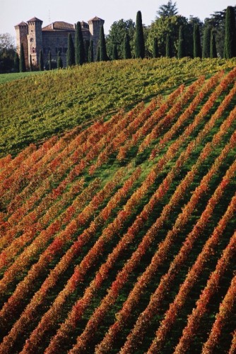 Quattro Castella - Il più bello Quattro Castella - Il più bello