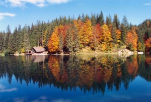 La Stagione dei colori ai Laghi di Fusine