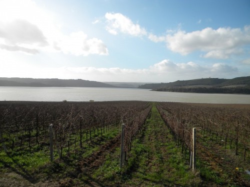 Baschi - Le vigne  e   il  lago