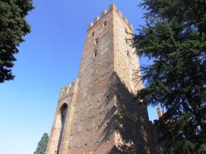 Rocca Viscontea - la Torre