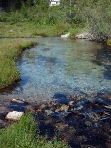 Val Ferret,Loc.La Vachey…chiare e fresche acque