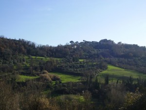 Sul colle il piccolo borgo di Sermugnano