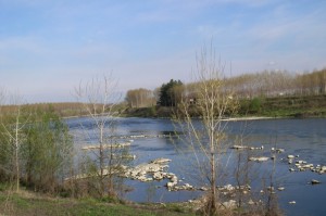 Il fiume Po andando verso frazione Terranova