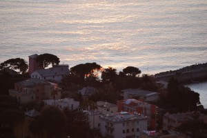 Panorama Nervi