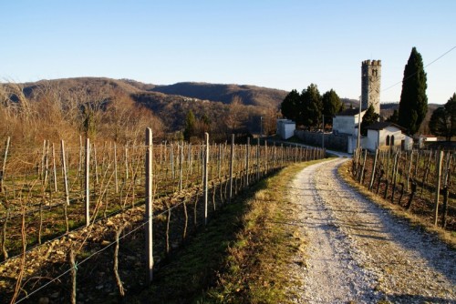 Prepotto - le colline di Albana