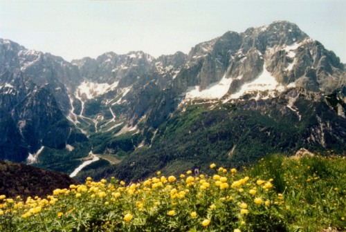 Malborghetto Valbruna - Lo Jôf di Montasio visto dallo Jôf di Miezegnot 