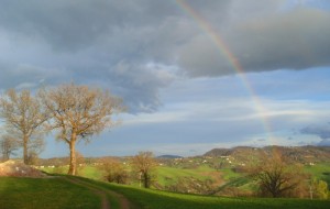 i miracoli della Natura