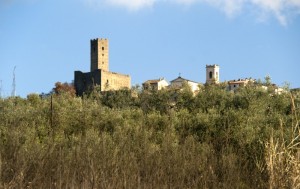 Il castello di Larciano