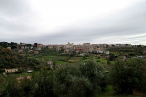 Tra vigneti e ulivi questa è Marino