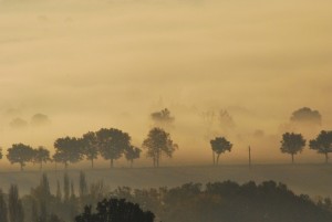 ALBA CON FOSCHIA