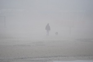 uomo e cane intravisti