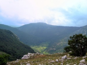 350, pochi ma buoni…