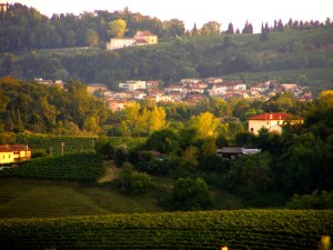 … e tutti intorno i vigneti di prosecco