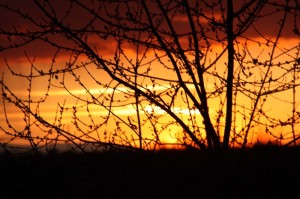 Luci e colori di un tramonto.