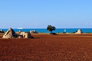 Tipico paesaggio sulla litoranea di Cozze…