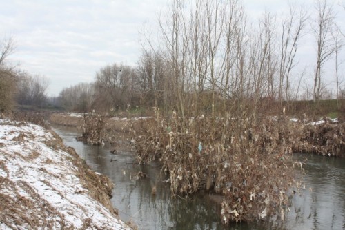 Pavone del Mella - I fiori del male