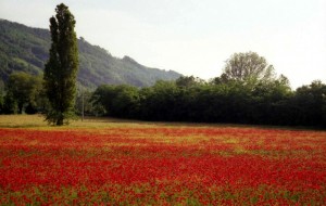 quando l’uomo lascia alla natura