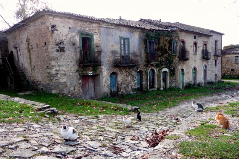 ''Sono rimasti quattro gatti, anzi cinque…'' - Roscigno