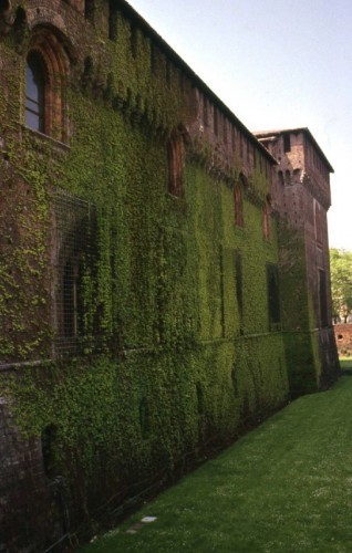 Milano - una vellutata verde protezione del tempo
