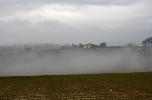 Nebbia sulla campagna di Montefalco