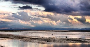 Grado - un dosso di rena