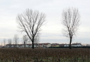 Mignete in toni pastello