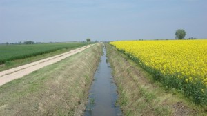 in giro per la Valle di Villa tra i campi in fiore