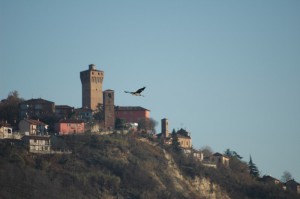 castello di Santa Vittoria d’Alba