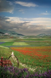 Castelluccio di Norcia