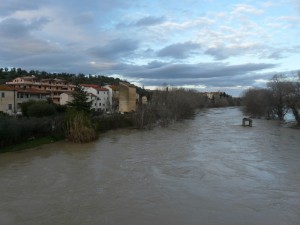 L’Ombrone  a Istia Ponte.. 15,30