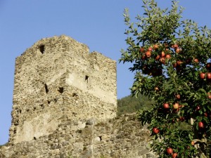 La torre e le mele