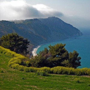 La ginestra e la primavera…