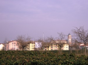 Oltre la siepe, Pioltello