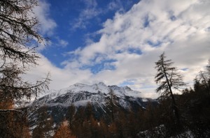 Dal bosco di Antagnod