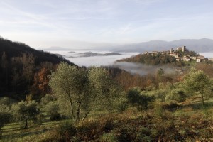 Veduta del borgo di Castiglione del Terziere