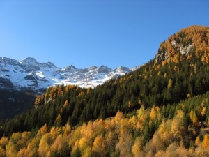 ho seguito i tuoi passi