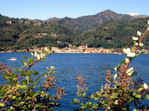 Pella - Pella Pella - Pella