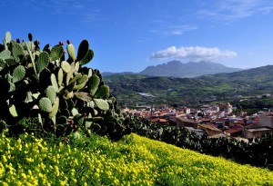 Misilmeri, colori di Sicilia!