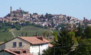 VIGNALE IN BELLA MOSTRA