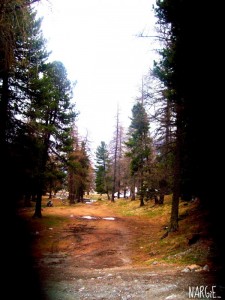 Là dove batte il sole.