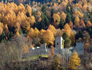 Un castello incantato nel bosco dorato