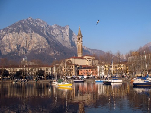 Lecco - Gabbiano di lago