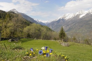Primavera in valle Antigorio 2