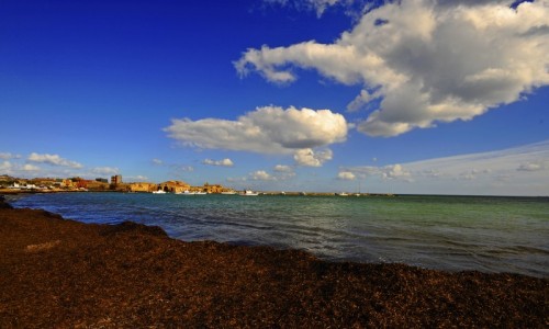 Pachino - I colori della Tramontana