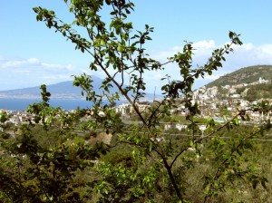 Vico in giorno d’estate