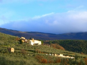 Un piccolo angolo di paradiso