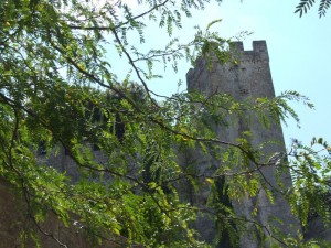 tra foglie,ed alberi,ah il castello di Oria