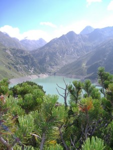 Lago Barbellino tra la vegetazione