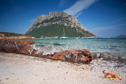 Olbia - tavola su Tavolara